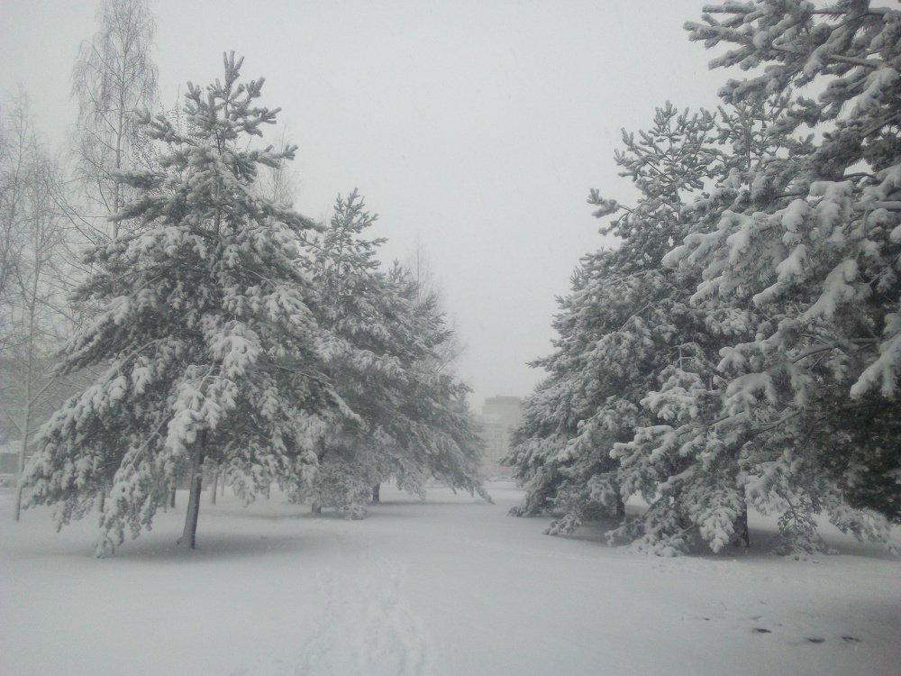 Photograph by Мария Лаврентьева