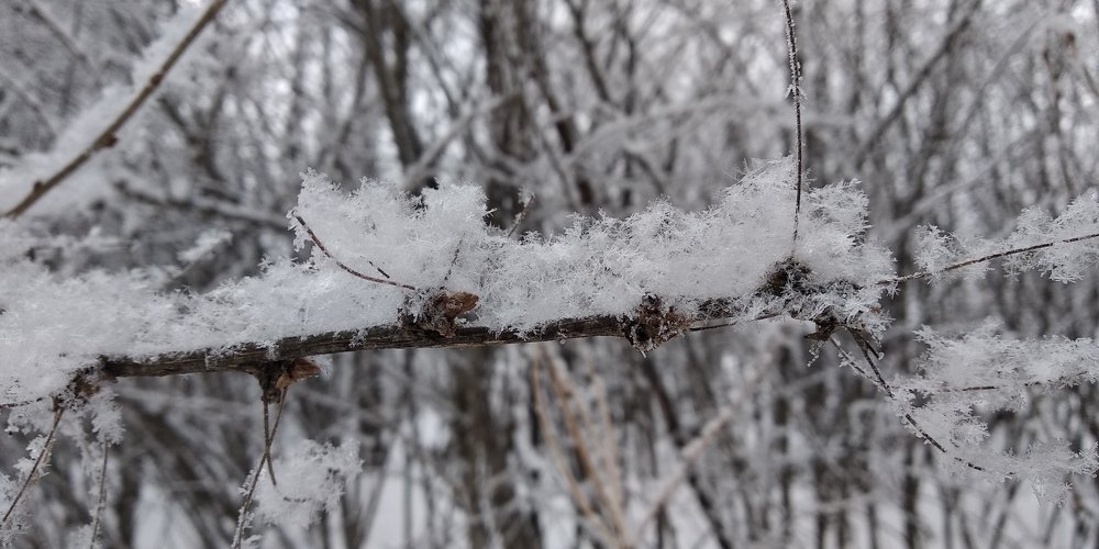 Photograph by Ирина Саттарова