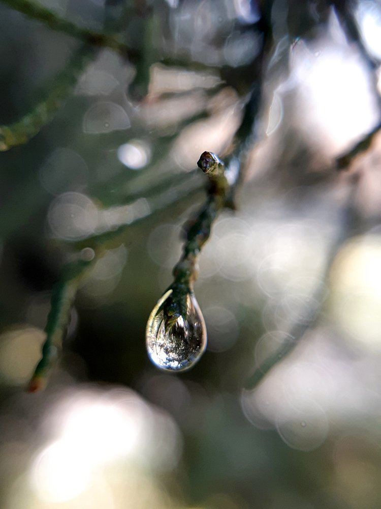 Photograph by Inessa Botasheva