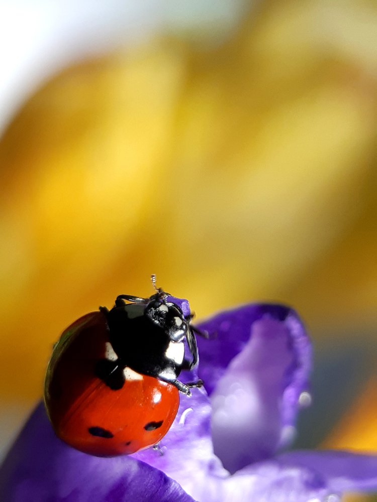 Photograph by Inessa Botasheva