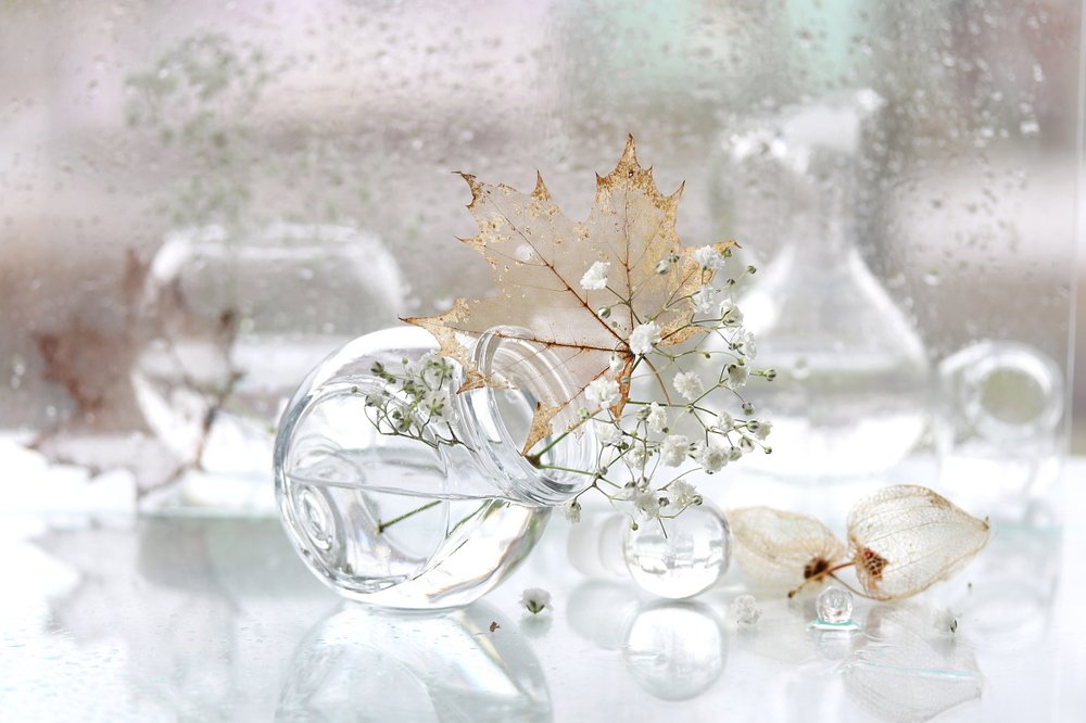 В прозрачной дымке