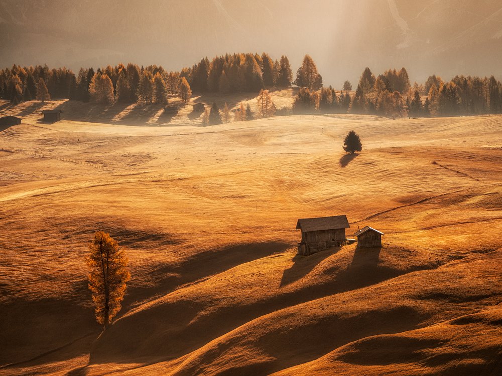 Photograph by Светлана Михалкова