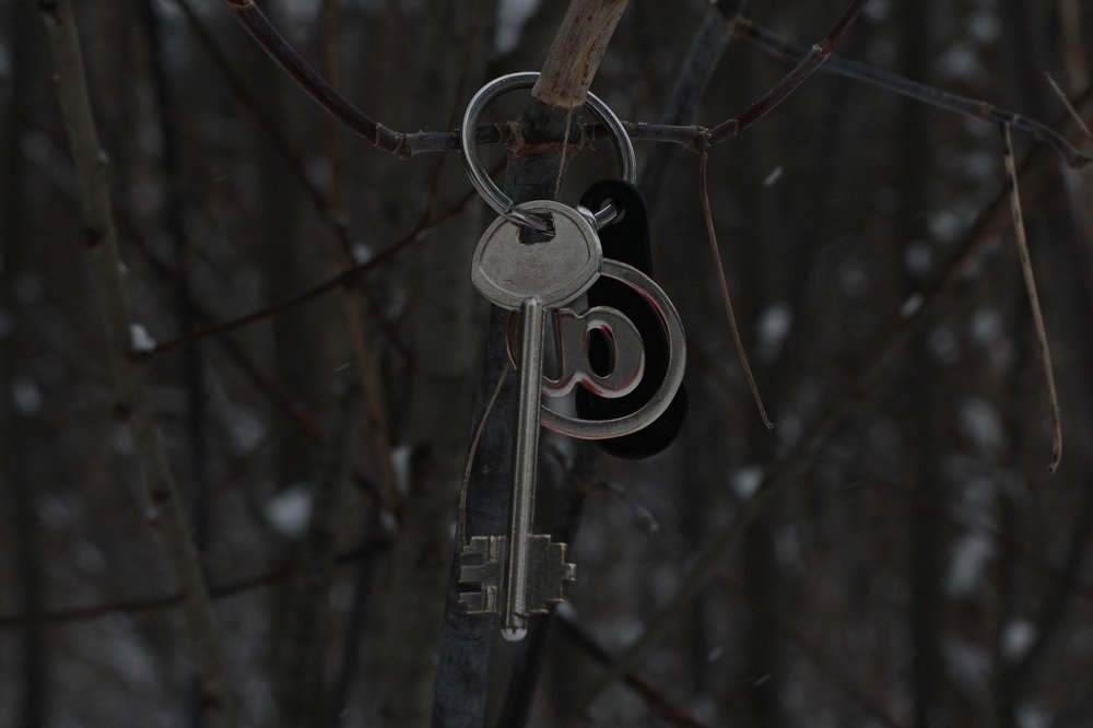 Photograph by Михаил Костыря