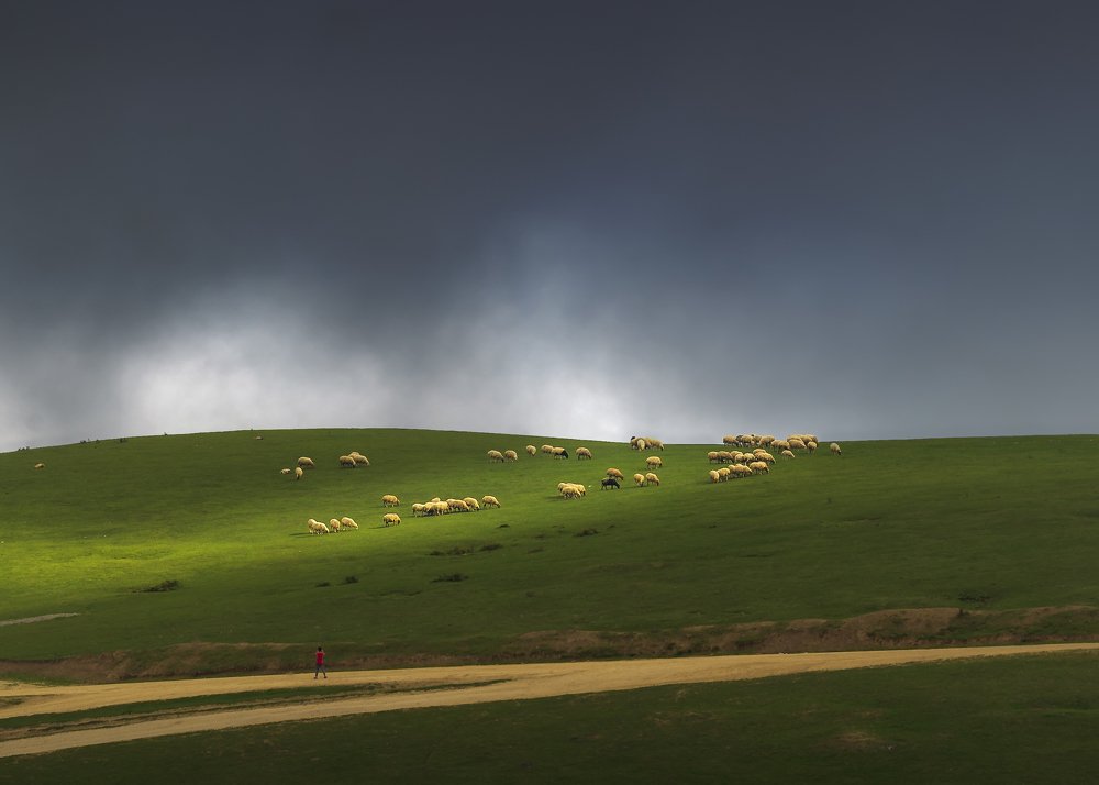 Photograph by Riahi Hosein