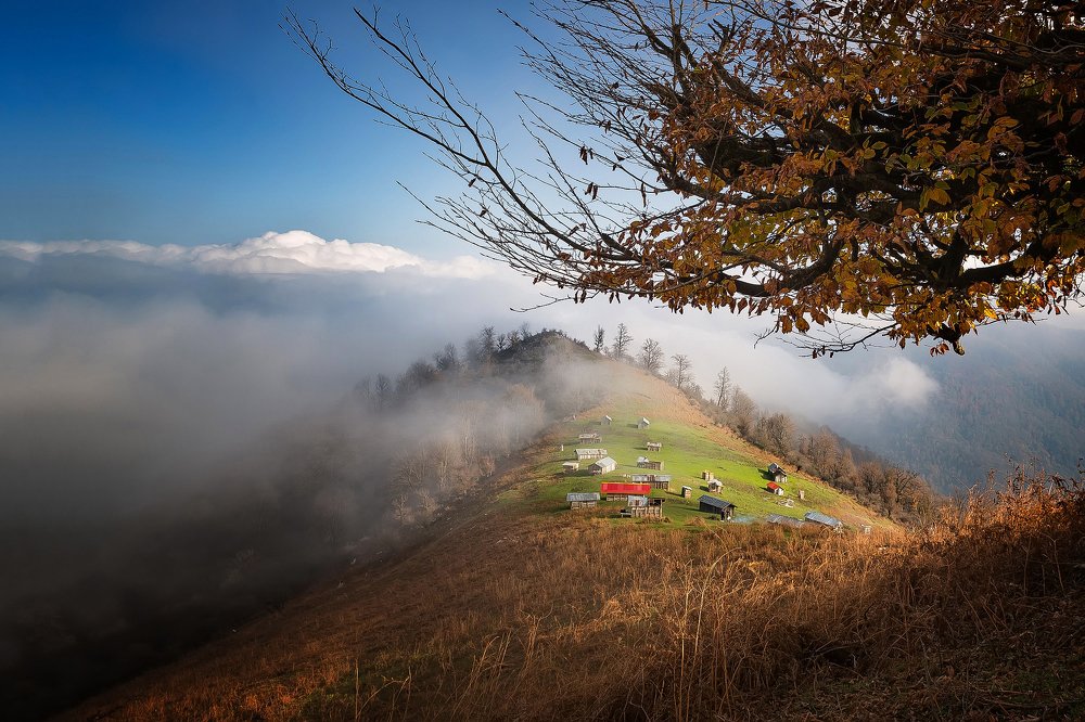 Photograph by Riahi Hosein