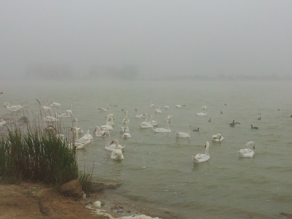 Photograph by ИГОРЬ