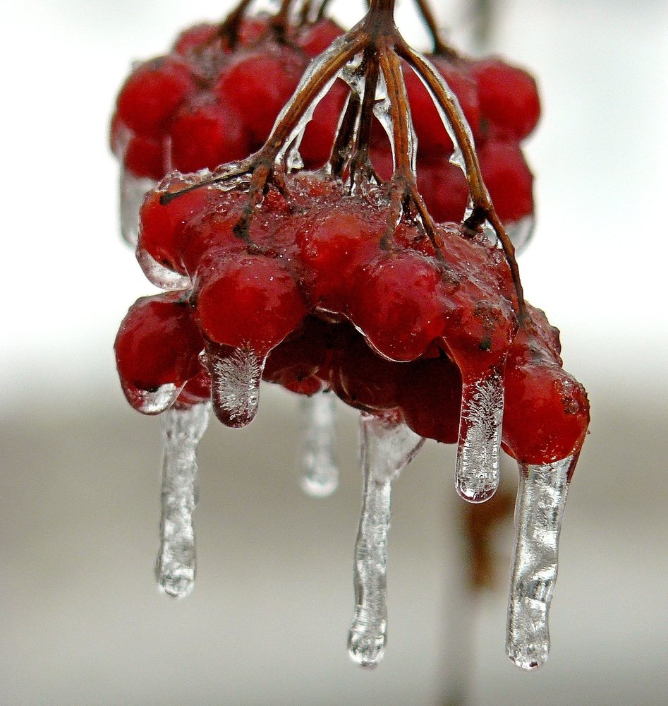 Photograph by леонид натапов