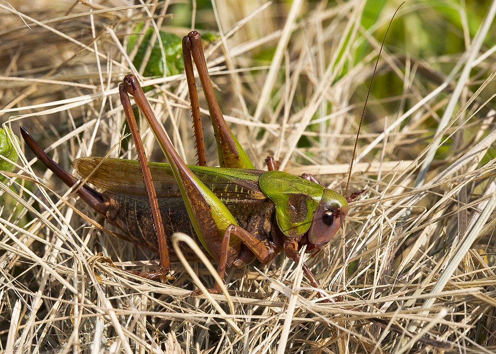 Photograph by Евгений Барзенков