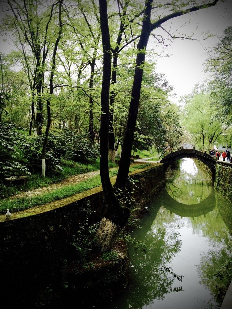 Photograph by Лариса Александрова