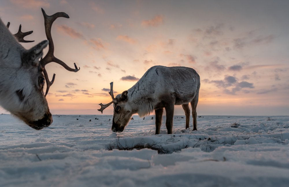 Photograph by Мария Новоселецкая