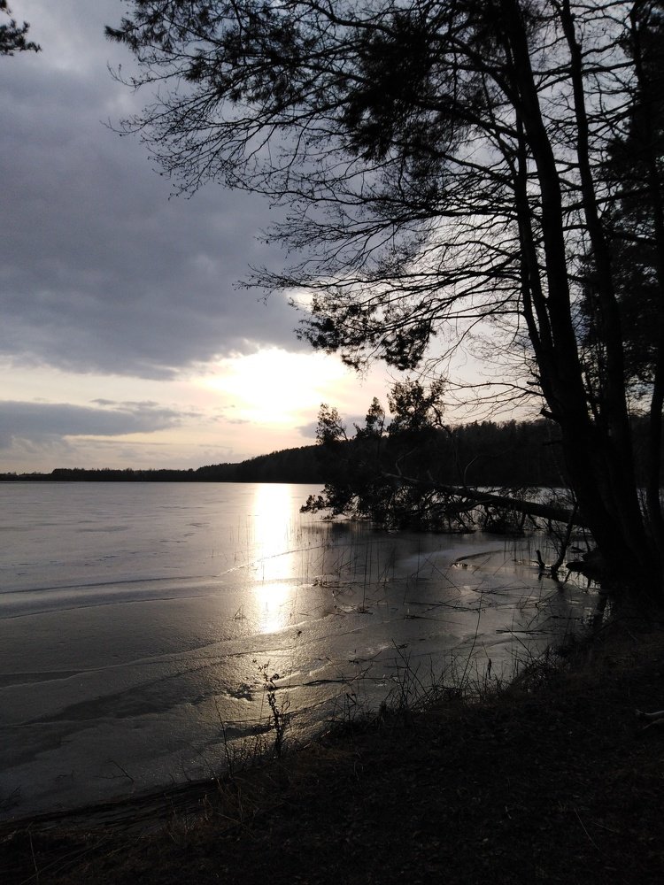 Photo #4437430