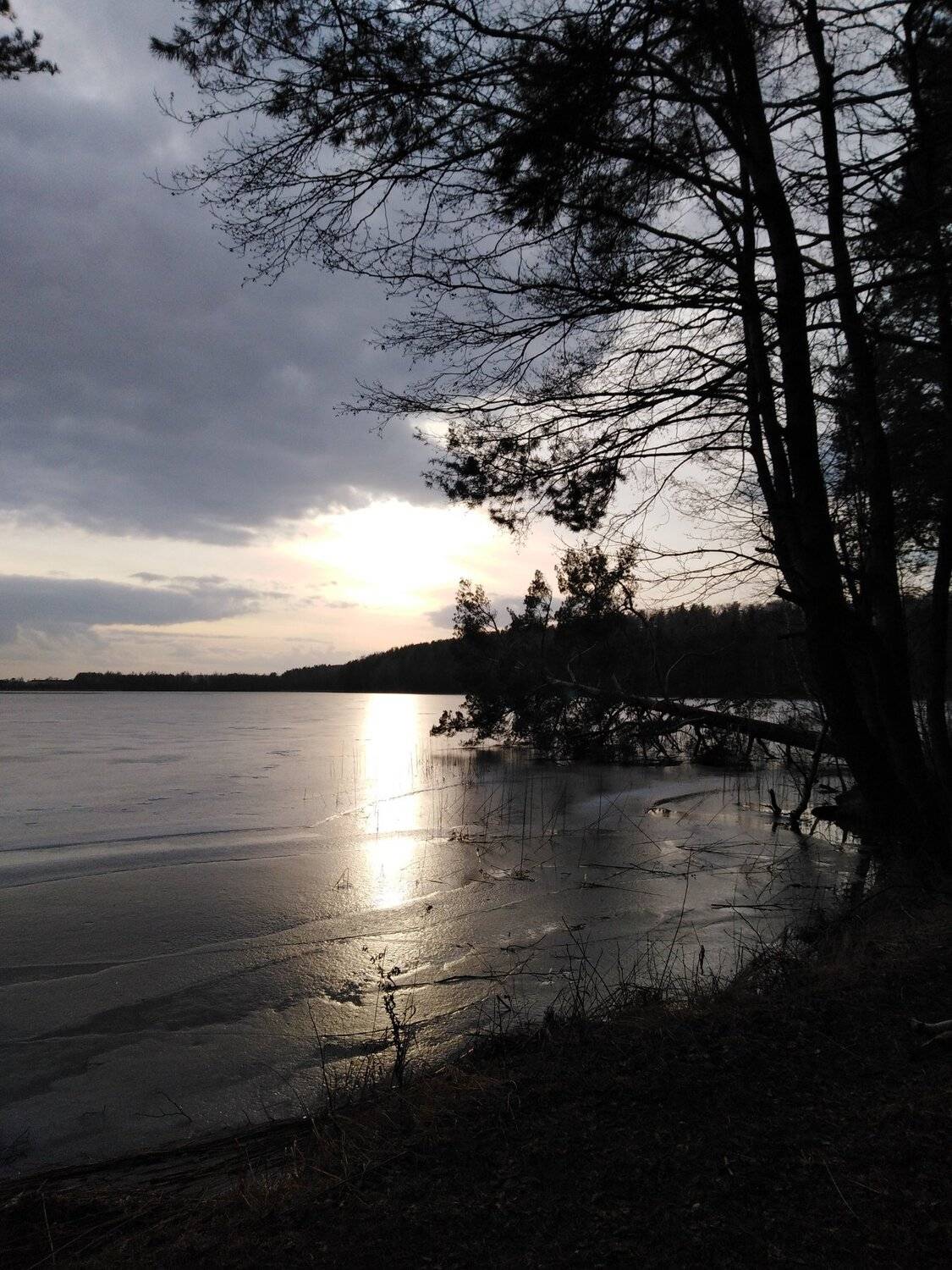 Photo #4437430