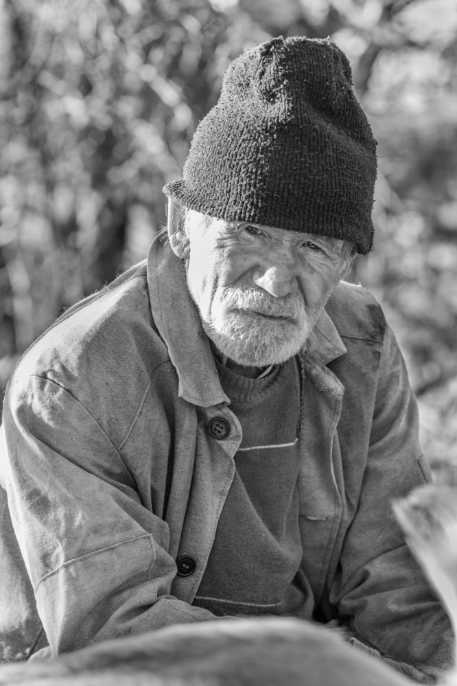 Photograph by Максим Митченко