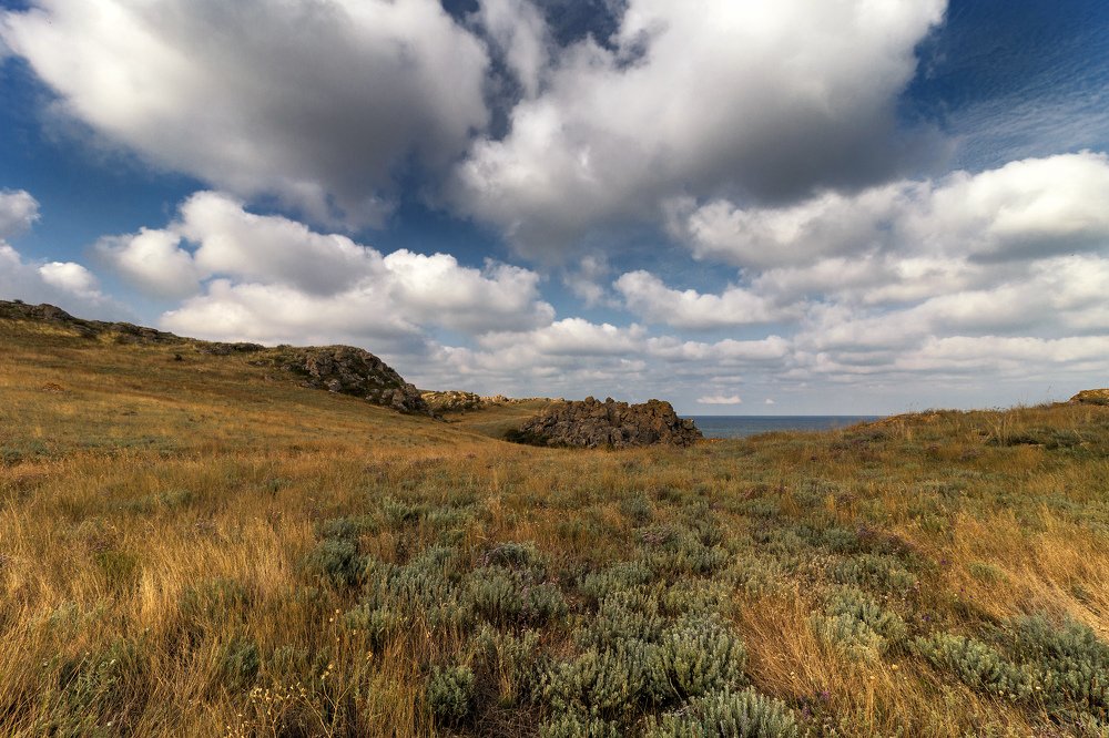 Photograph by Марина Кожевникова