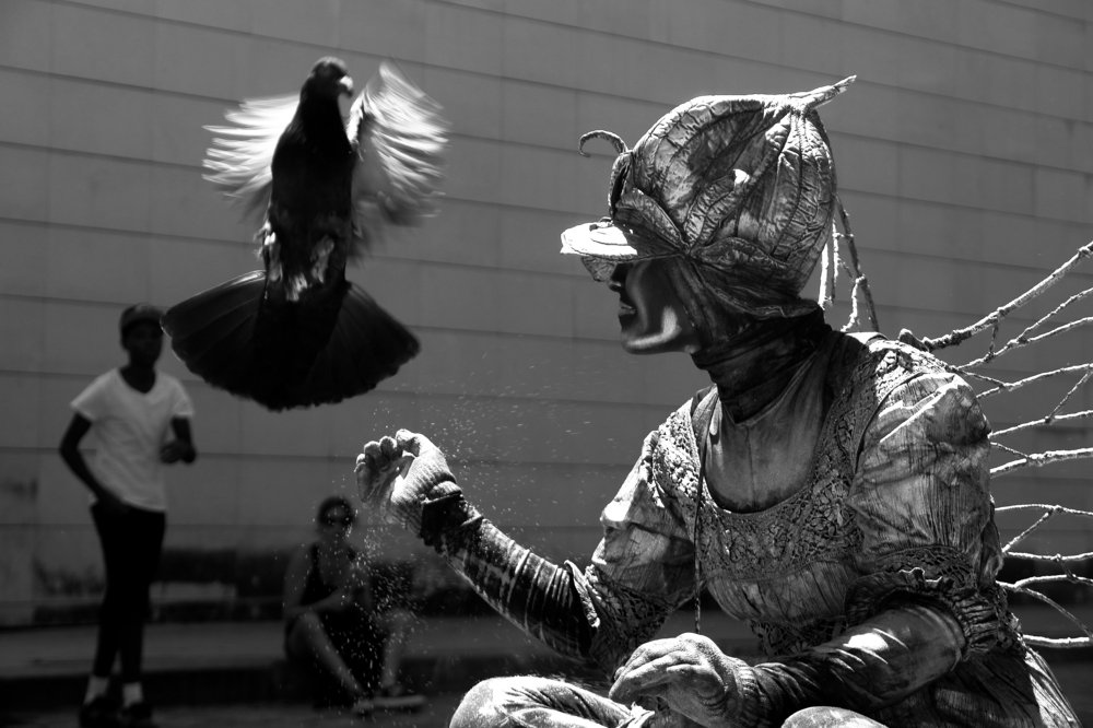 Photograph by Alejandro Rodríguez