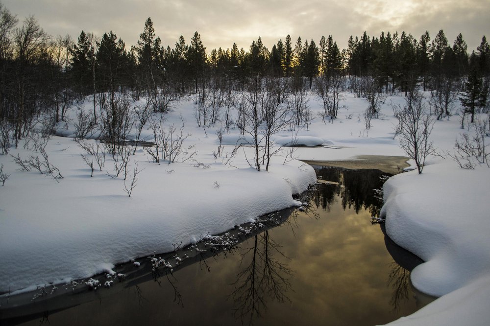 Photograph by Оксана Кузнецова