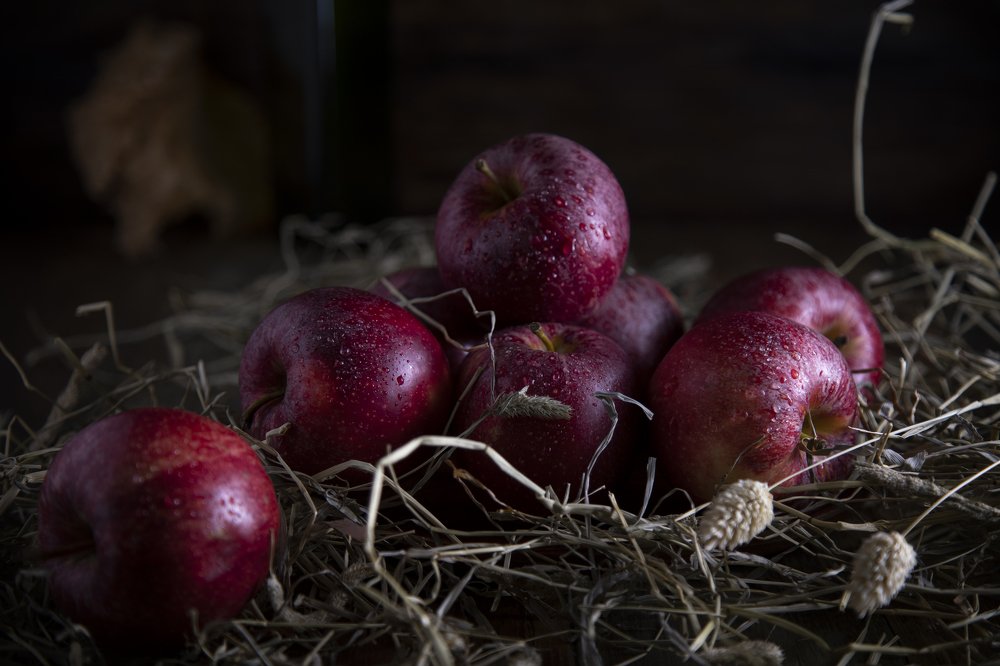 Фотография автора  Lapland