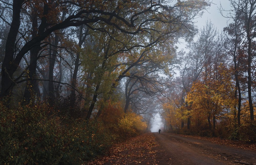 Photograph by Марина Кожевникова