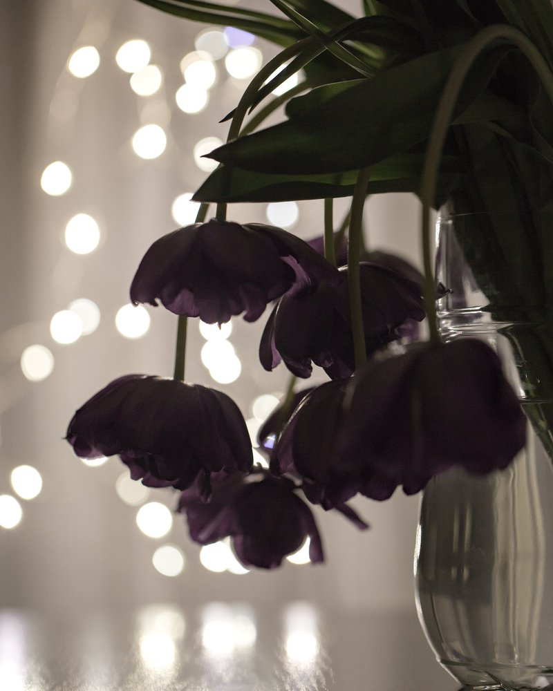 Photograph by Елена Иванова