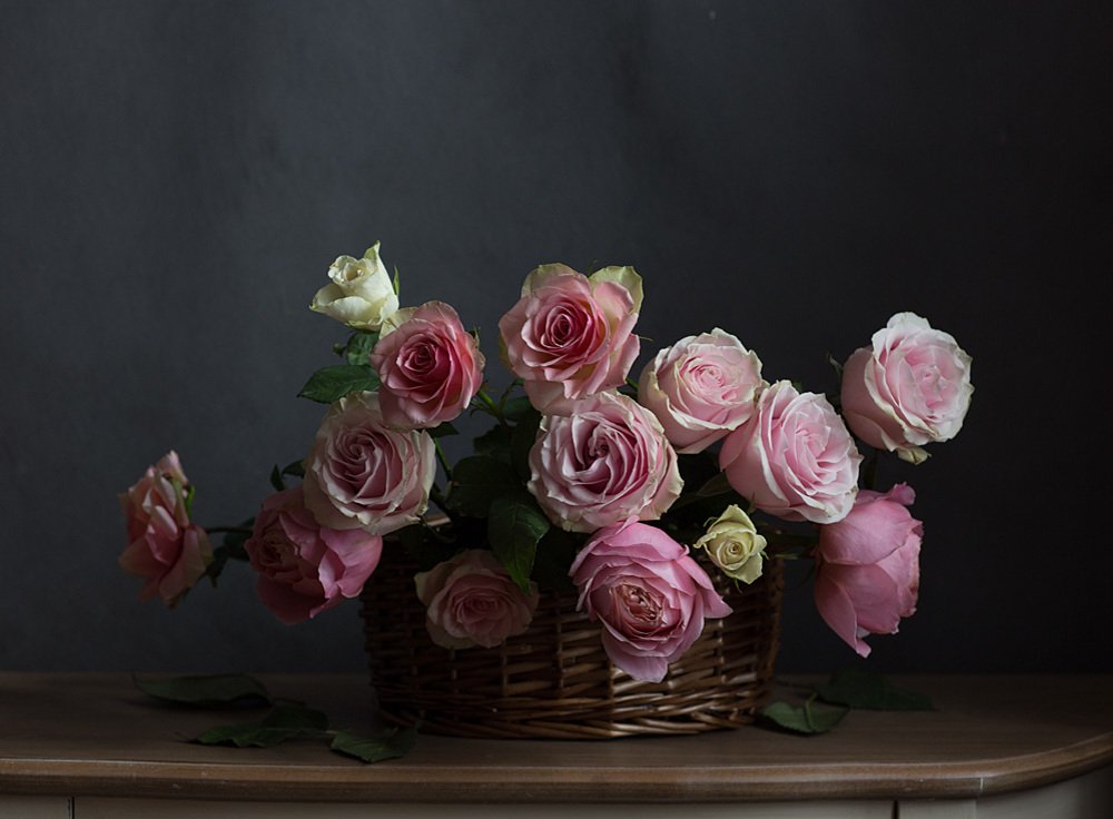 Фотография автора Алина Ланкина