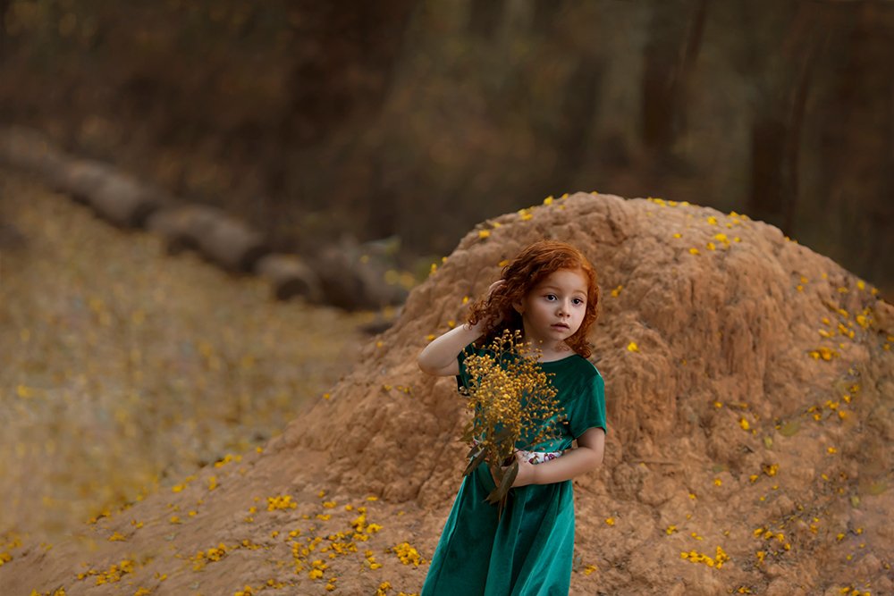 Photograph by D Santos