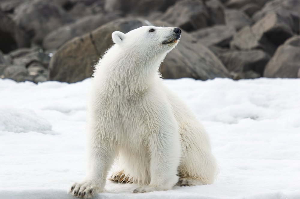 Photograph by Александр Малкин