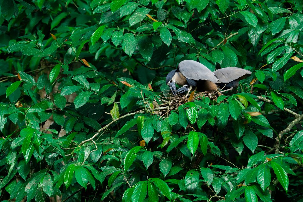 Photograph by Сергей Быстрицкий