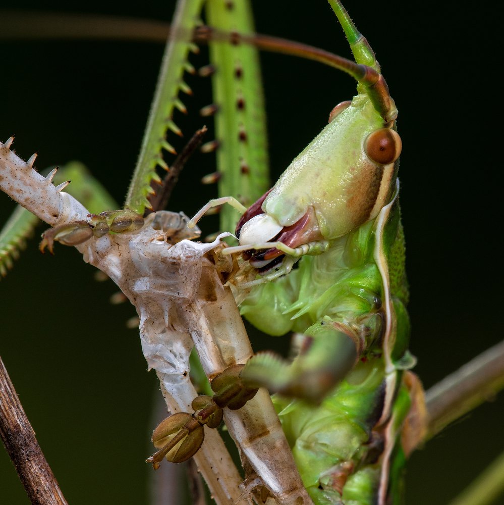 Photograph by Игорь ФУММ