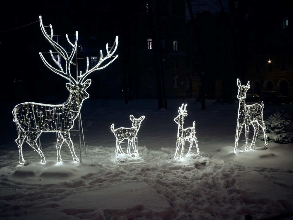 Сказка на Среднеохтинском проспекте.