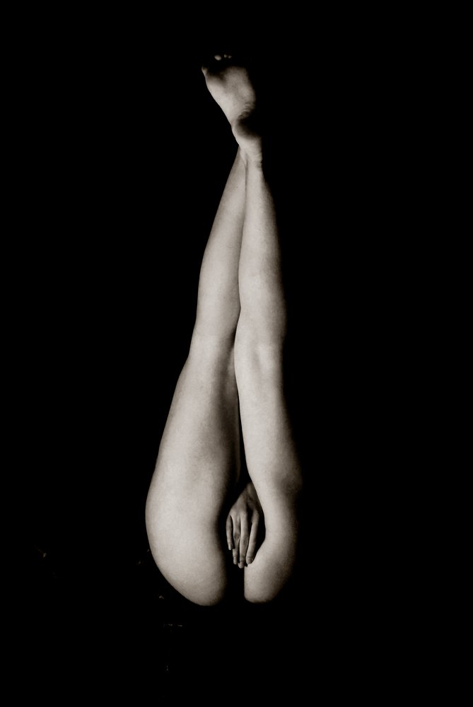 What are you looking for ?