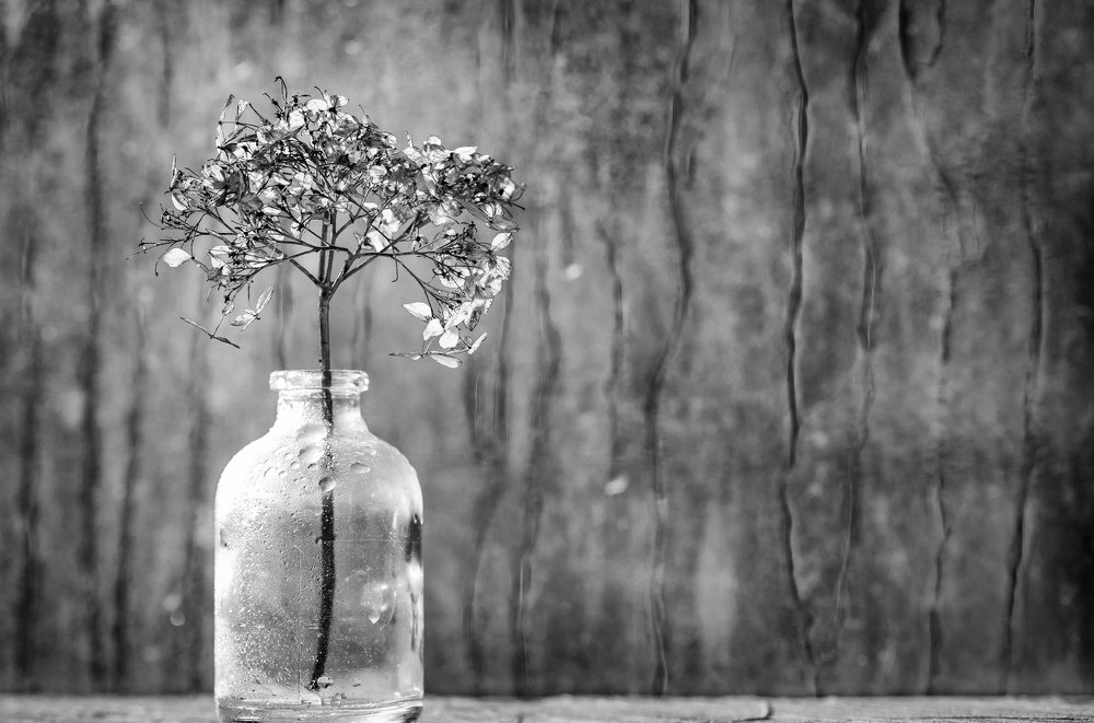 Фотография автора Мария Обидина