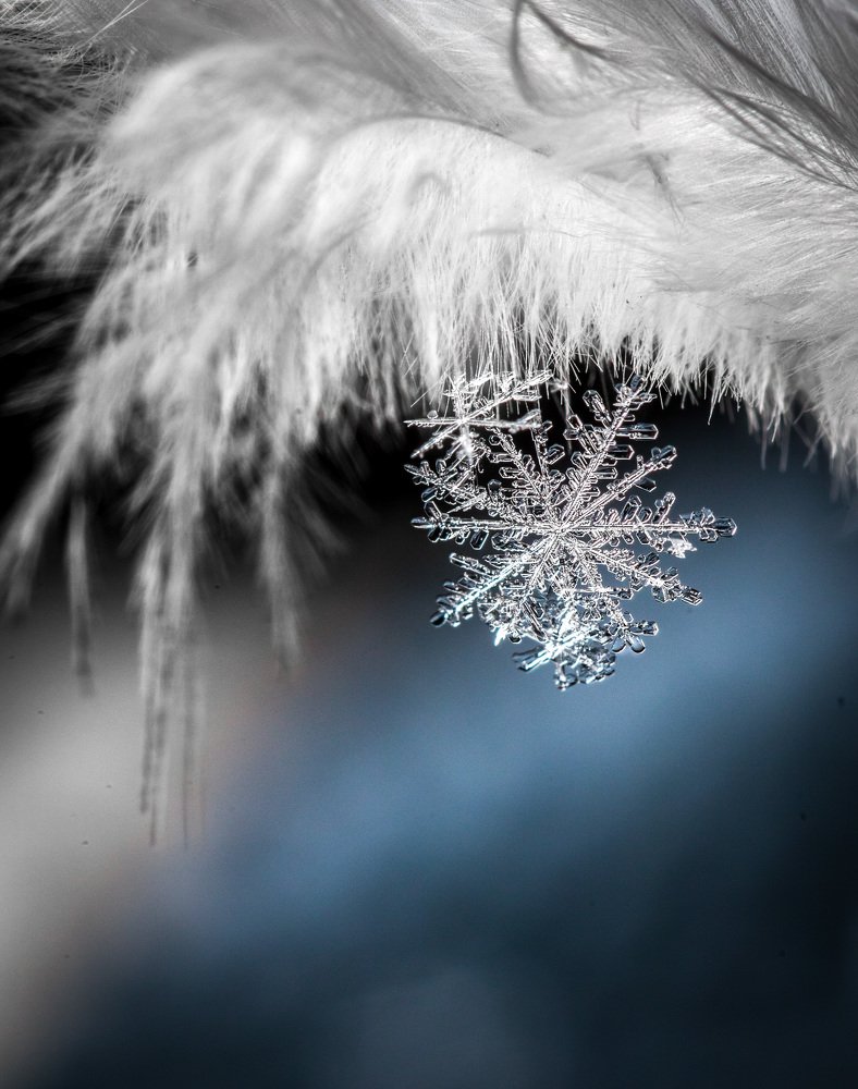 Серия постановочных снимков со снежинками