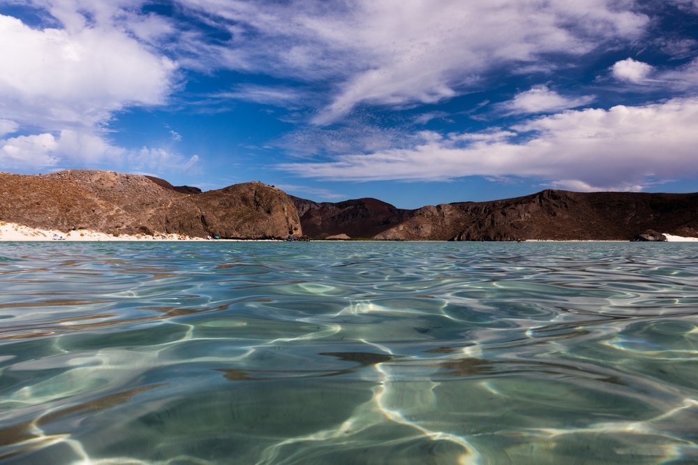 Photograph by Lari Haras