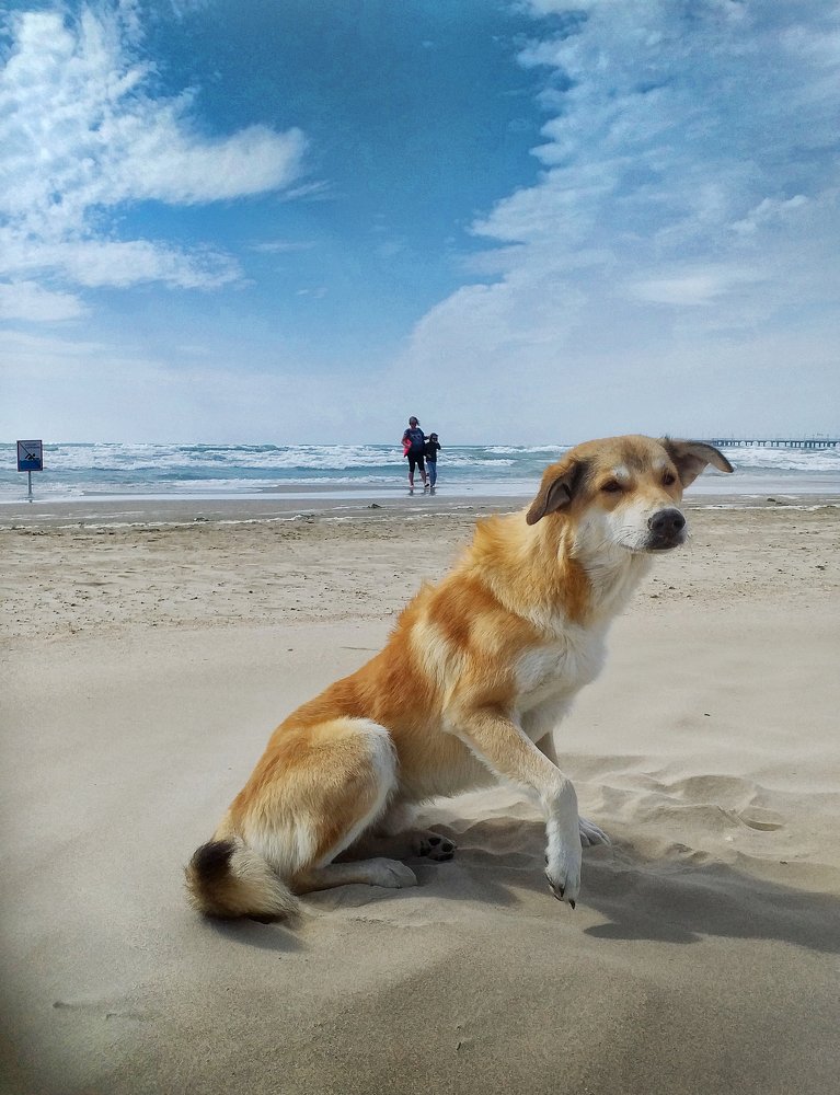 Photograph by Щербакова Галина