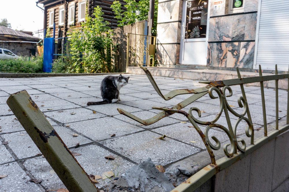 Photograph by Щербакова Галина