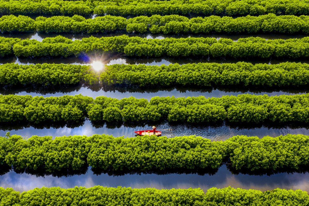 Photograph by Trung Luong