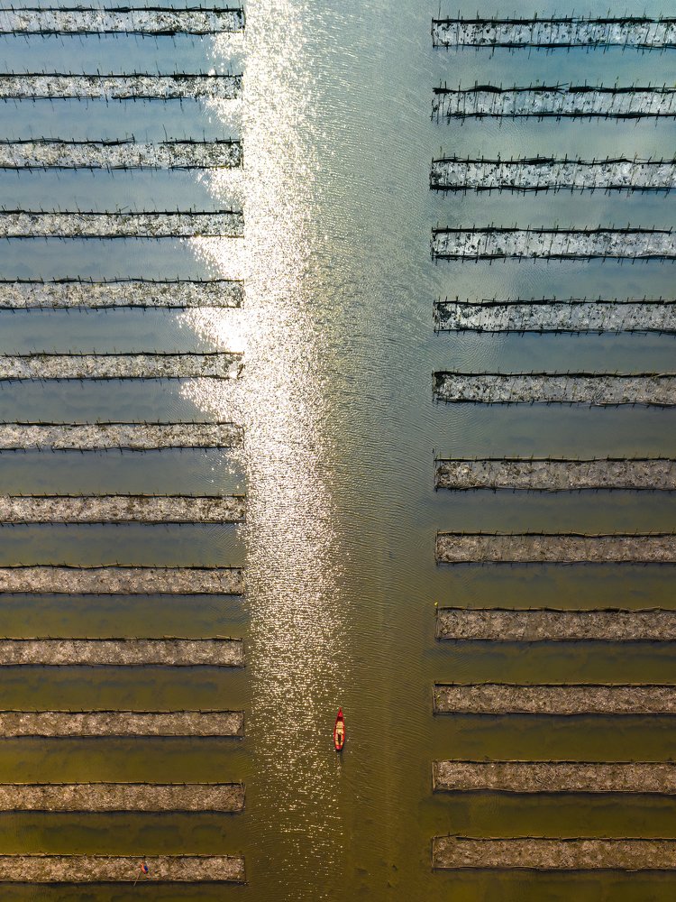 In the middle of Mangroves forest