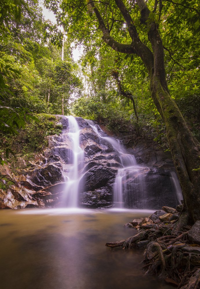 Photograph by Ng Max