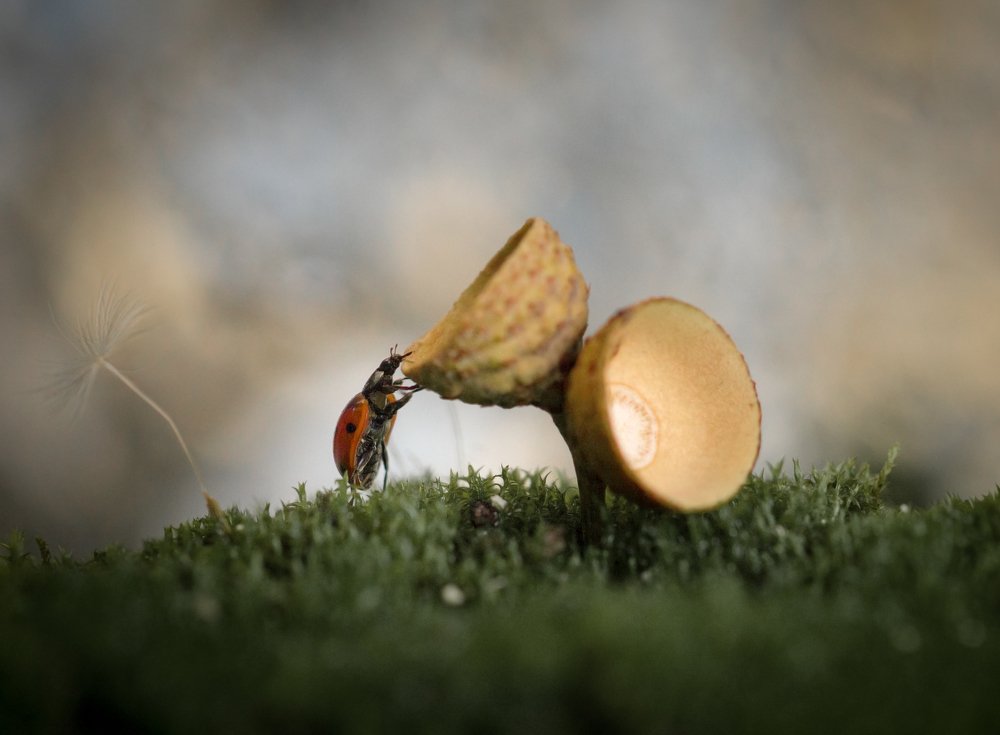 Любопытная малышка!