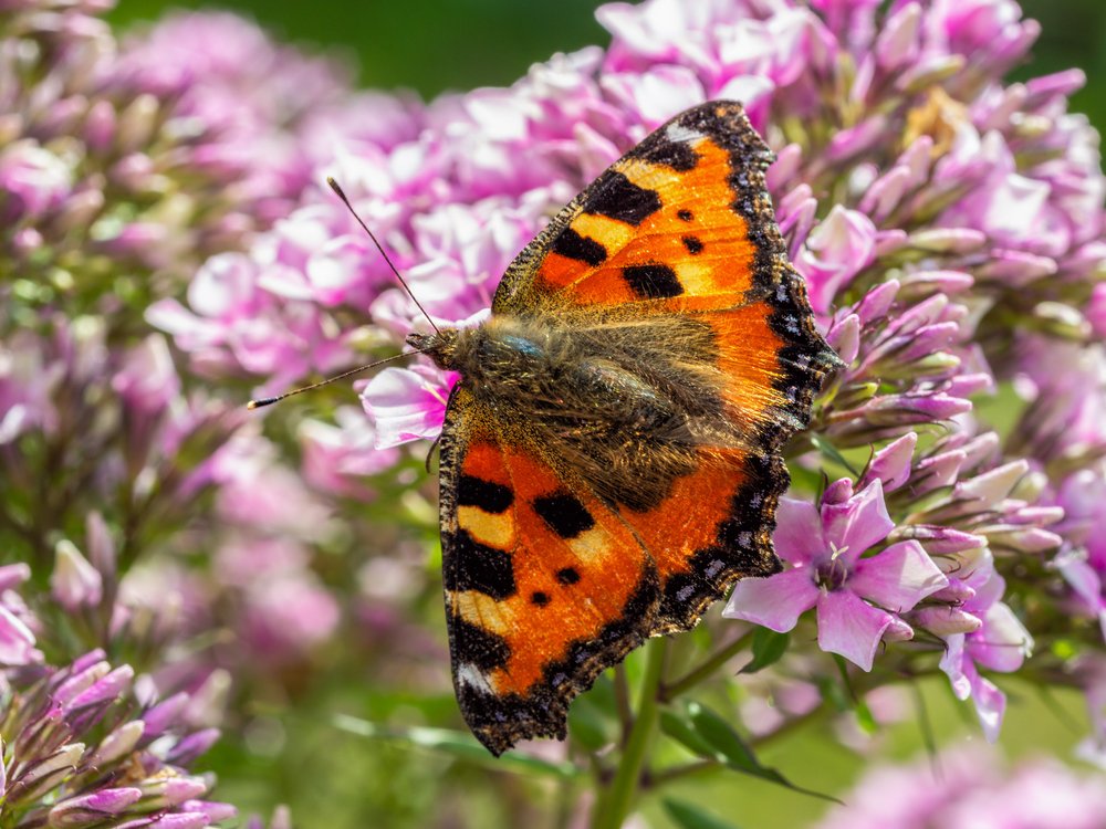 Photograph by Victor Pruhnitskiiy