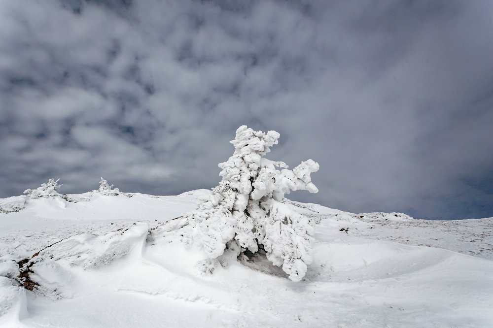 Photograph by Константин Аношин