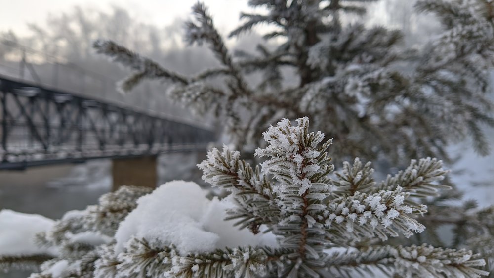 Photograph by Наиль Шакиров