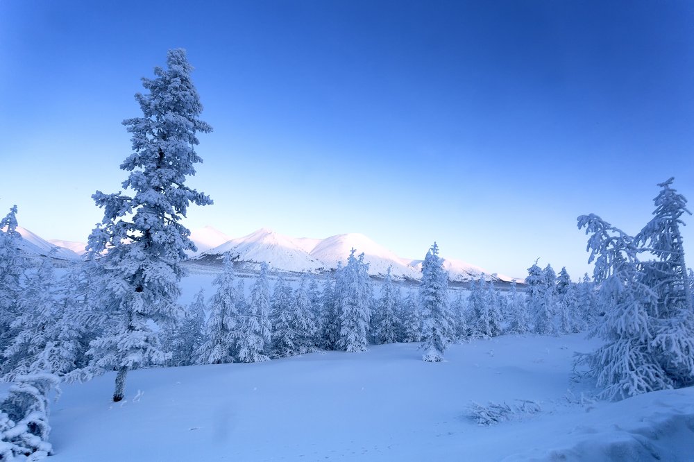 Зимний день.