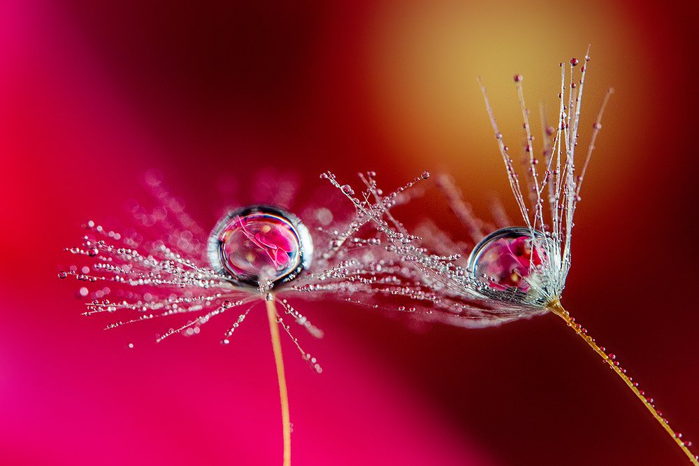 Photograph by Иван Радьков