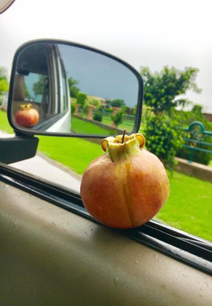 Photograph by Alina Mahmood