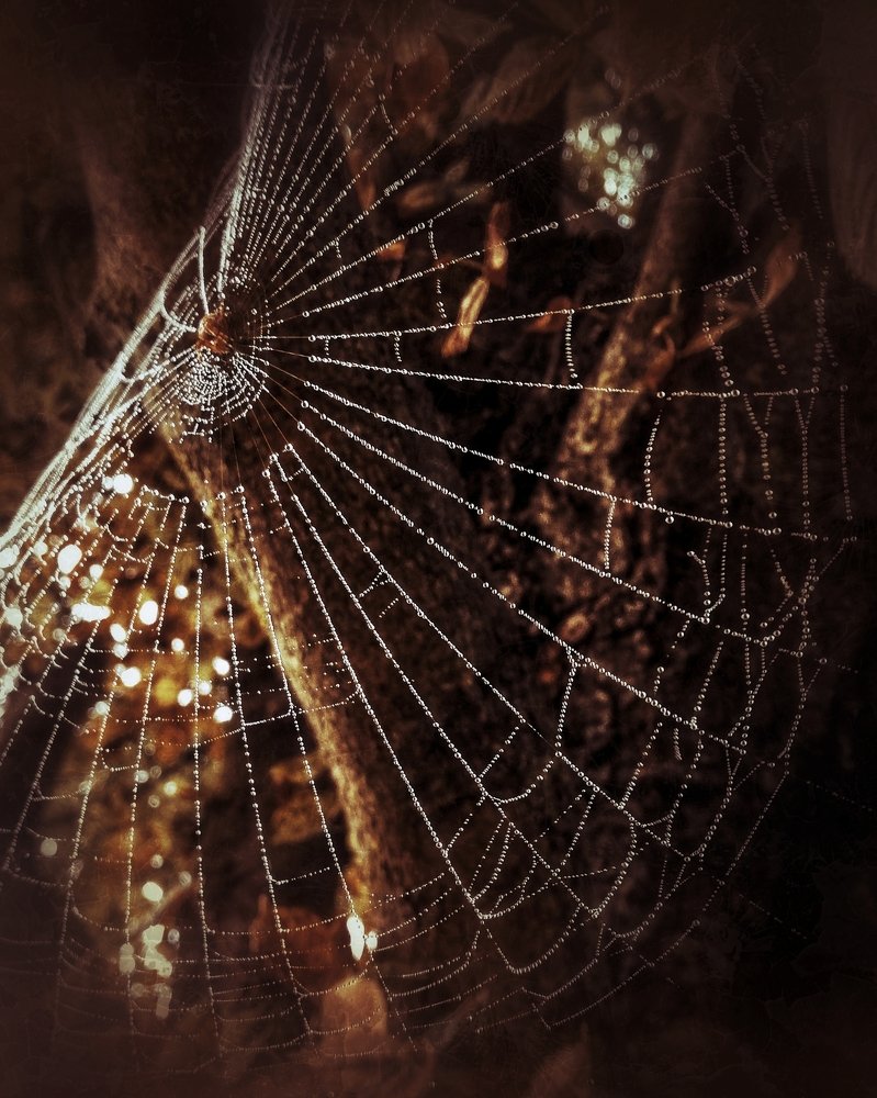 Photograph by Юлия Макаренко