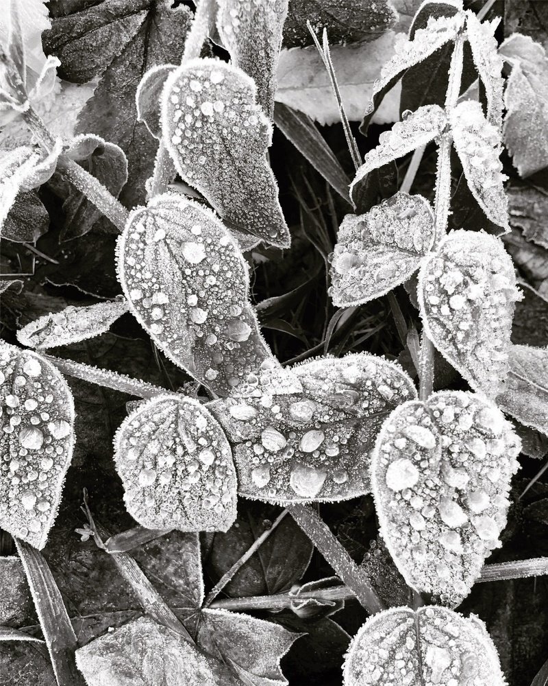 Photograph by Ольга Харлан