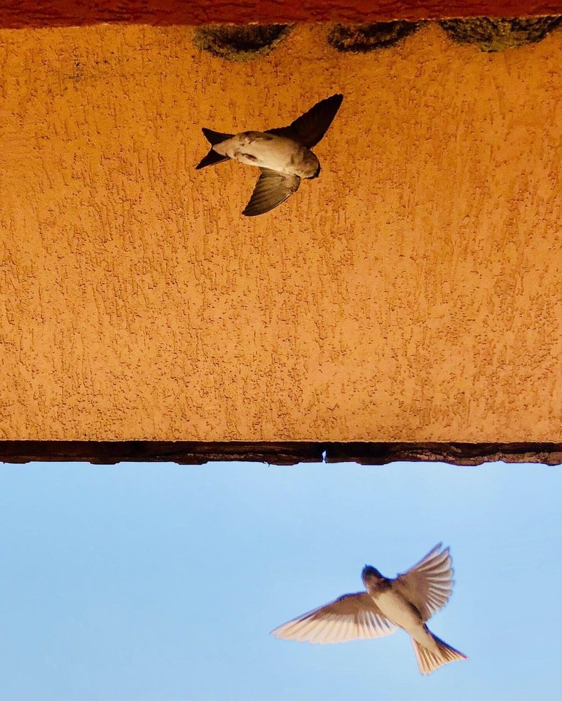 Photograph by Ольга Харлан