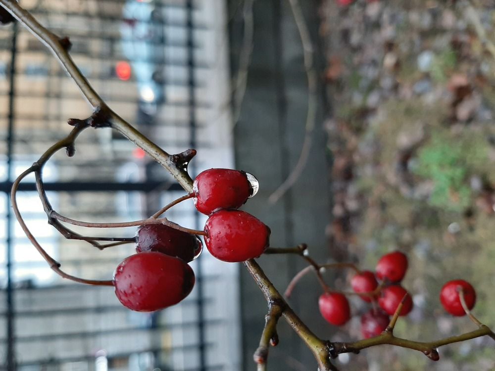 Photograph by Екатерина Попова