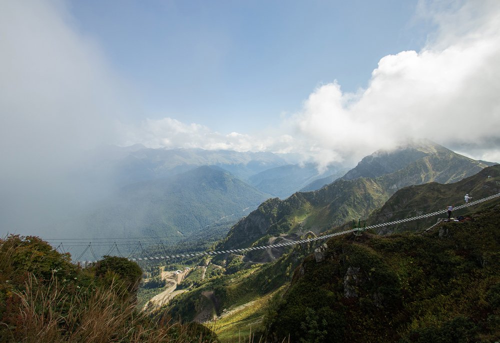 Фотография автора Елена Гусак